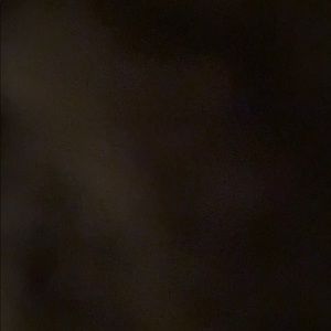 Meet your Posher, Sylvia